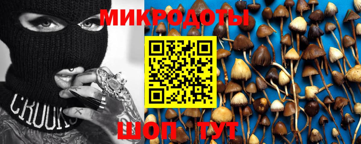 Клин  Галлюциногенные грибы Cubensis  Галлюциногенные грибы Cubensis  Вход с VPN 