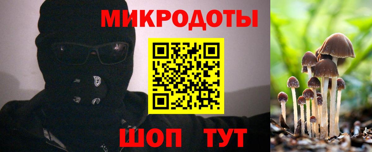 Псилоцибиновые грибы прущие грибы Клин